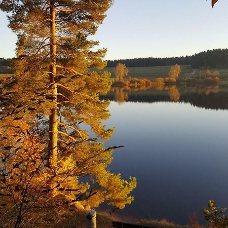 Ferienwohnung Am Kirnbergsee Unterbrand 外观 照片